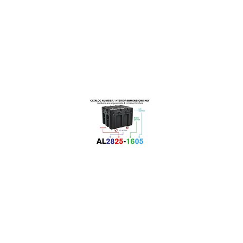 Peli Single Lid Trunk Case AL2825-1605