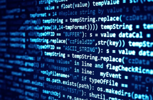 Programming Fee
