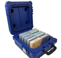 Turtle LTO10 Case 01-679103 Holds up to 10 LTO'S DLT'S