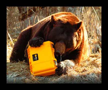 Peli Storm iM2100 Case With Foam SPECIAL OFFER - Black