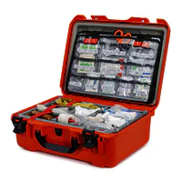 Nanuk 940 Case With EMS Kit